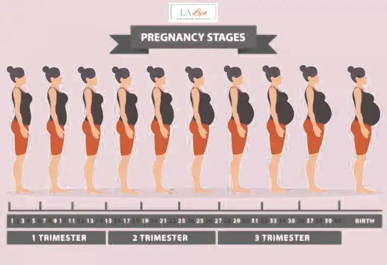 First Trimester (Weeks 1–12): Early Changes You Might Not Notice Uxbridge